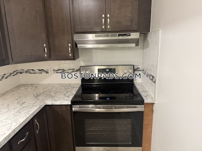 Allston Apartment for rent 1 Bedroom 1 Bath Boston - $2,100 No Fee