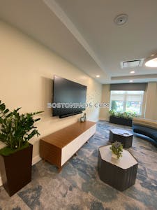 Brookline Apartment for rent 3 Bedrooms 2.5 Baths  Chestnut Hill - $6,735 No Fee