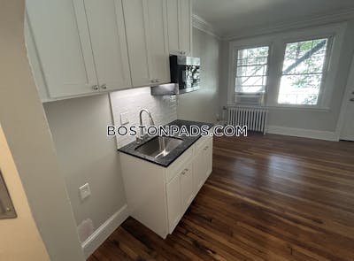 Brighton Apartment for rent Studio 1 Bath Boston - $1,900