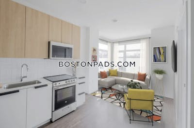 Allston Apartment for rent 2 Bedrooms 1 Bath Boston - $4,063 No Fee