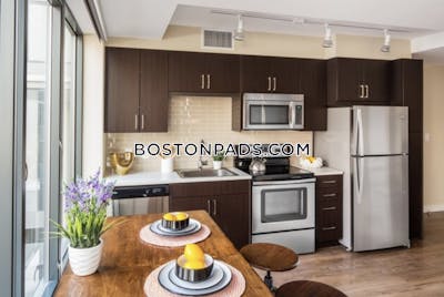 Downtown Studio  Luxury in BOSTON Boston - $3,190