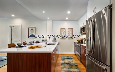 Brookline Apartment for rent 1 Bedroom 1 Bath Chestnut Hill - $3,200 No Fee