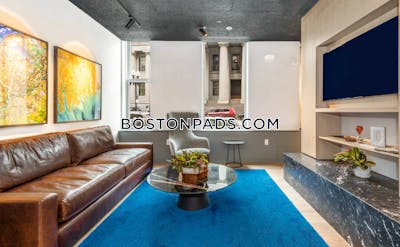 Downtown Apartment for rent 1 Bedroom 1 Bath Boston - $4,014