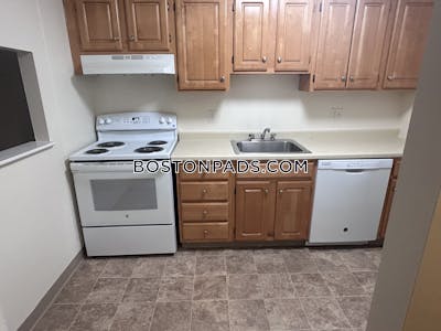 Cambridge Apartment for rent 1 Bedroom 1 Bath  Mt. Auburn/brattle/ Fresh Pond - $2,300 No Fee
