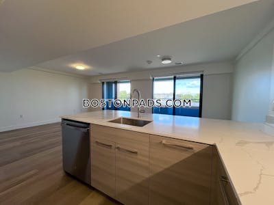 Allston 2 bedroom 2.5 baths in BOSTON Boston - $3,650 No Fee
