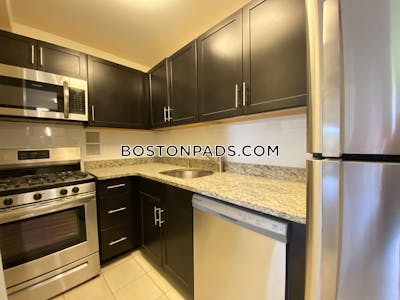Brookline Apartment for rent 2 Bedrooms 1 Bath  Boston University - $3,700 No Fee