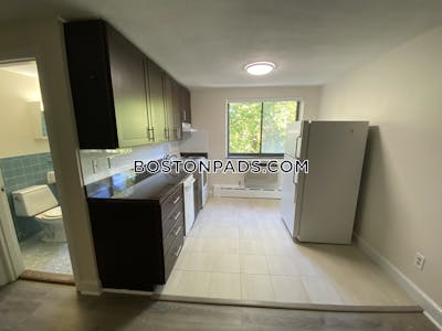 Cambridge Apartment for rent Studio 1 Bath  Davis Square - $2,050 No Fee
