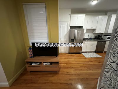 Fort Hill Apartment for rent 11 Bedrooms 4.5 Baths Boston - $16,500 No Fee