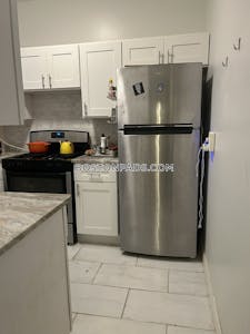 Allston Apartment for rent 1 Bedroom 1 Bath Boston - $2,500 No Fee