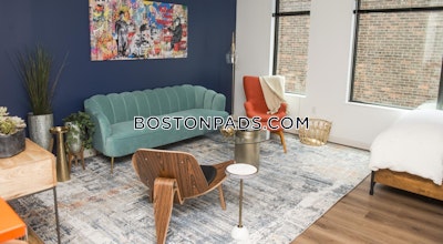 Allston Studio  Luxury in BOSTON Boston - $2,875 No Fee