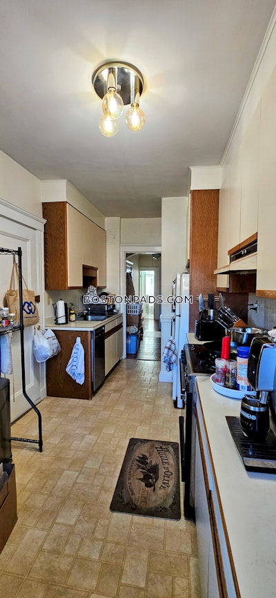 Brookline 2 bedroom 1 baths in BROOKLINE- COOLIDGE CORNER  Coolidge Corner - $3,000 No Fee