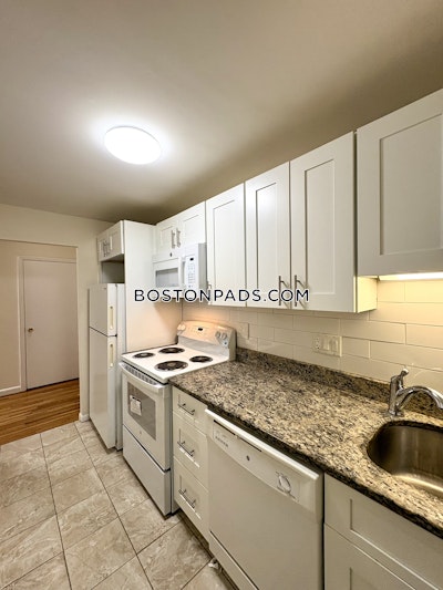Allston/brighton Border Apartment for rent 1 Bedroom 1 Bath Boston - $2,800 No Fee