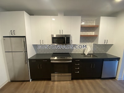 Allston Apartment for rent 1 Bedroom 1 Bath Boston - $3,650 No Fee