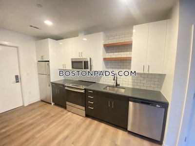 Allston Apartment for rent 2 Bedrooms 2 Baths Boston - $5,095 No Fee