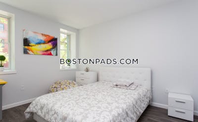 Brighton Apartment for rent 1 Bedroom 1 Bath Boston - $2,999